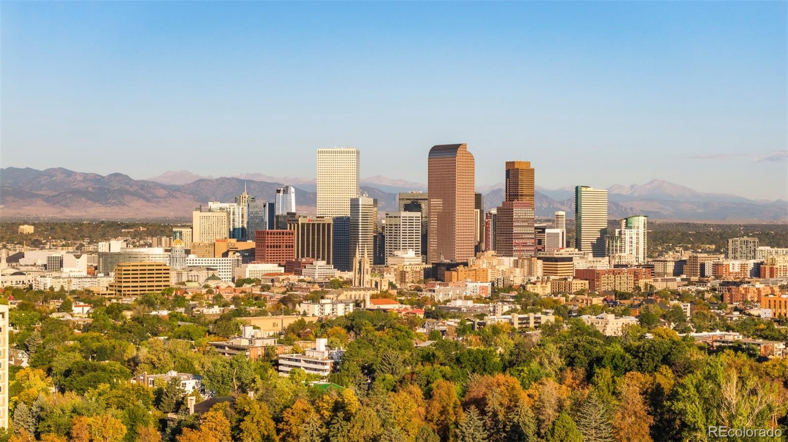 MLS Image #30 for 1201 n williams street,denver, Colorado
