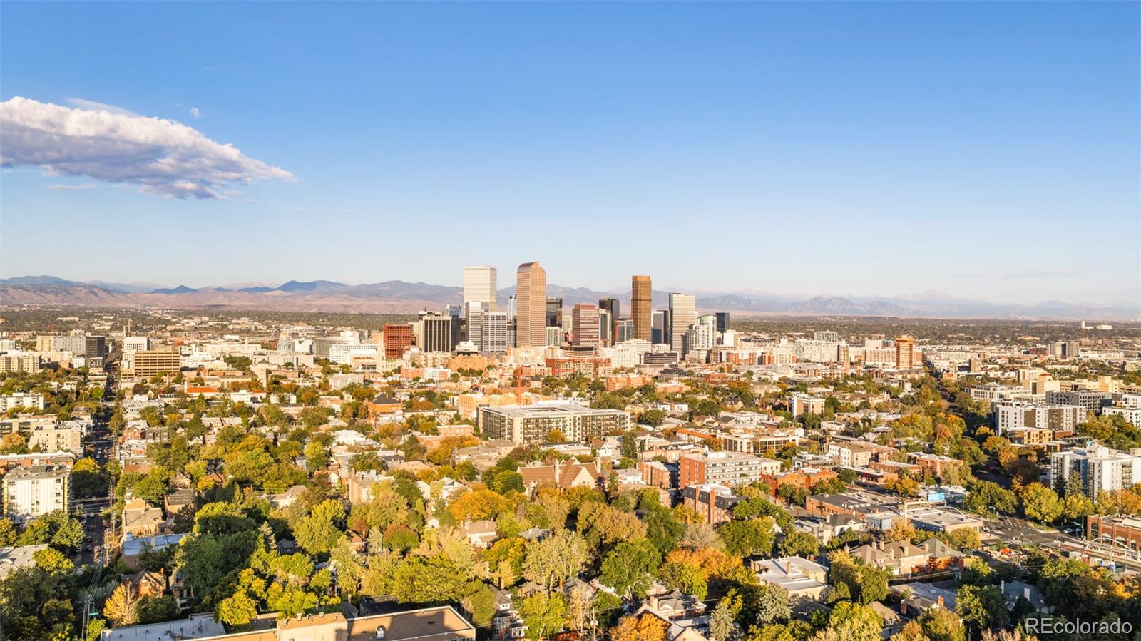 MLS Image #34 for 1201 n williams street,denver, Colorado