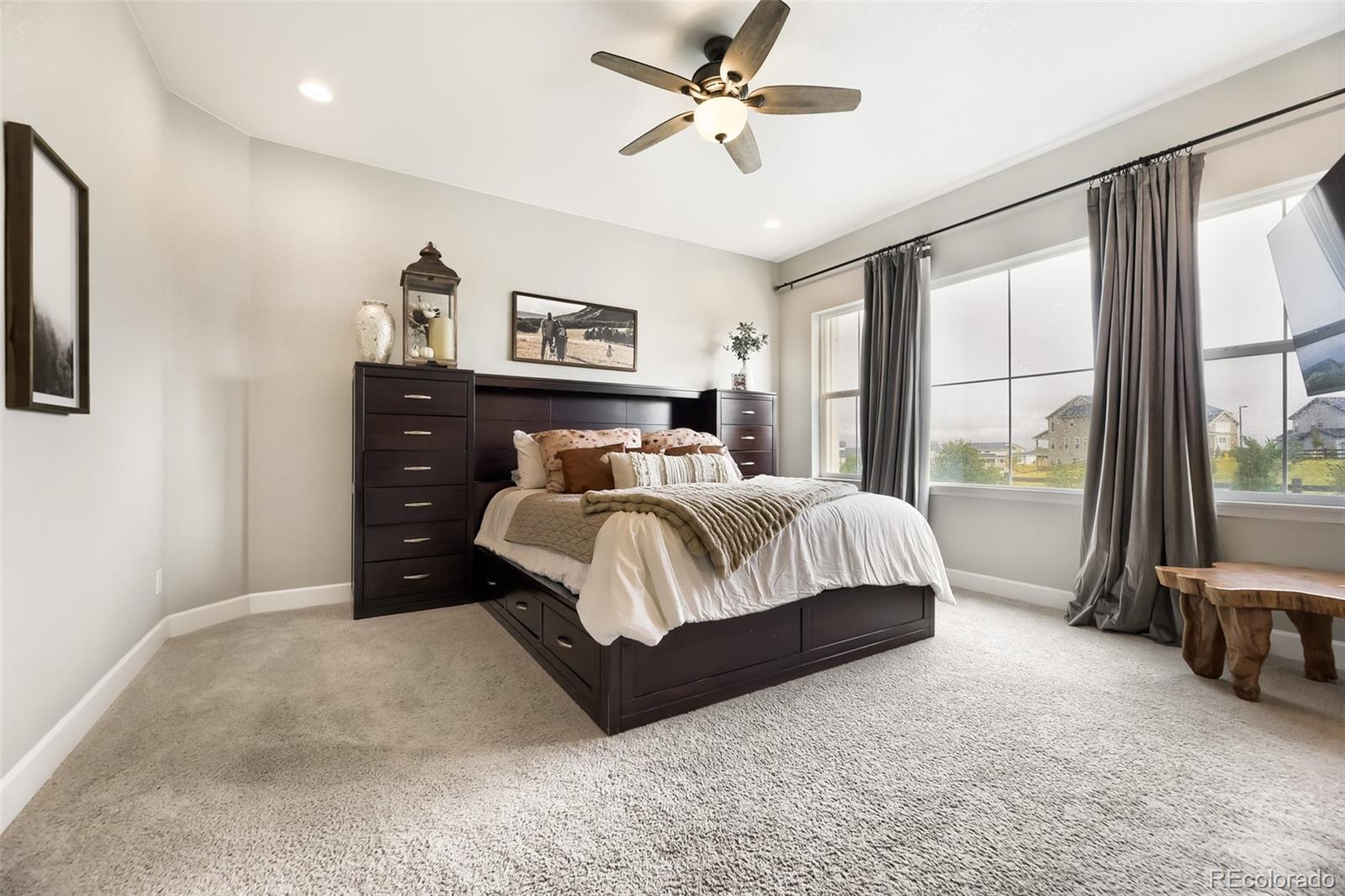 MLS Image #14 for 3258  carabiner street,castle rock, Colorado