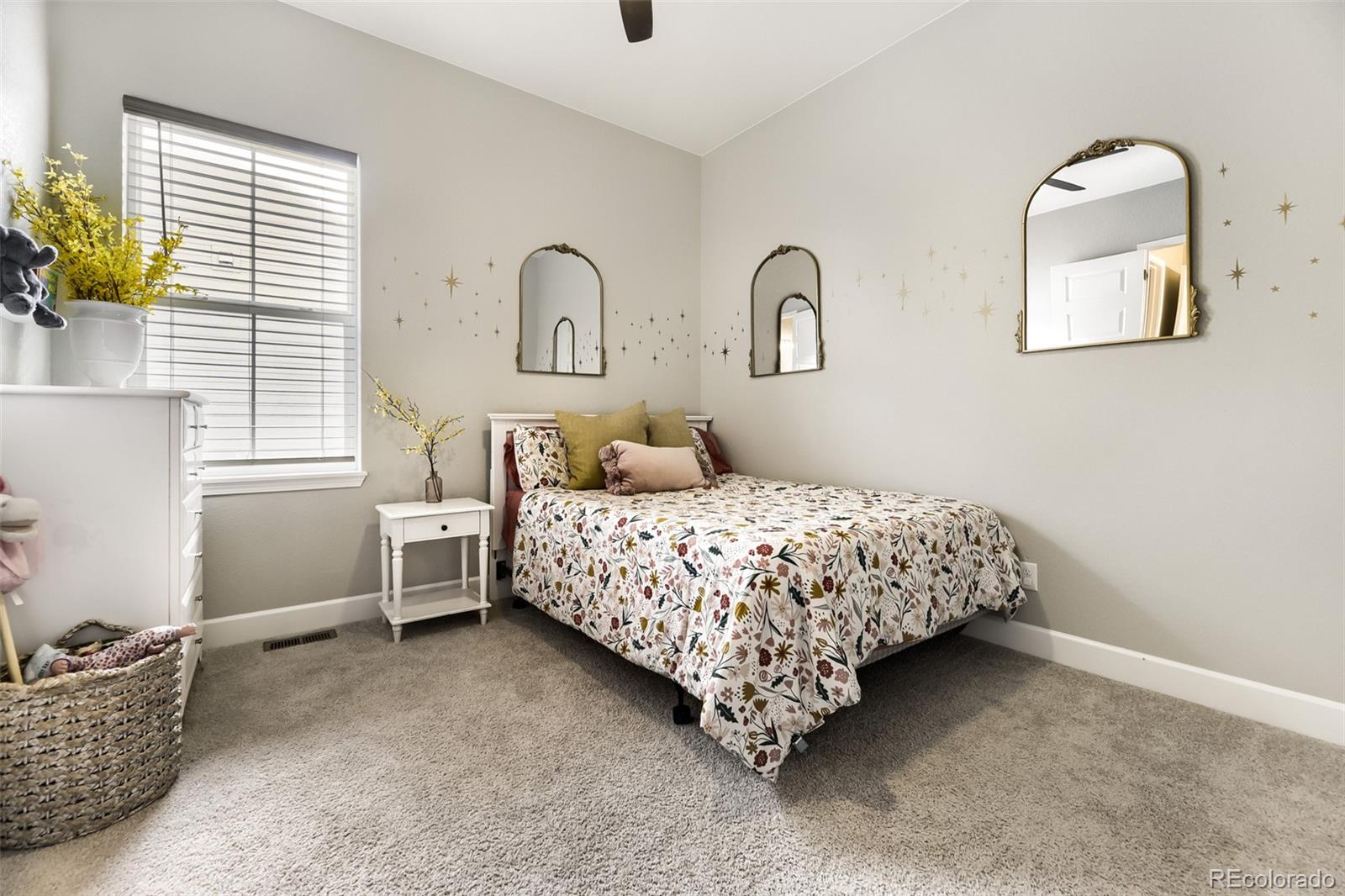 MLS Image #19 for 3258  carabiner street,castle rock, Colorado