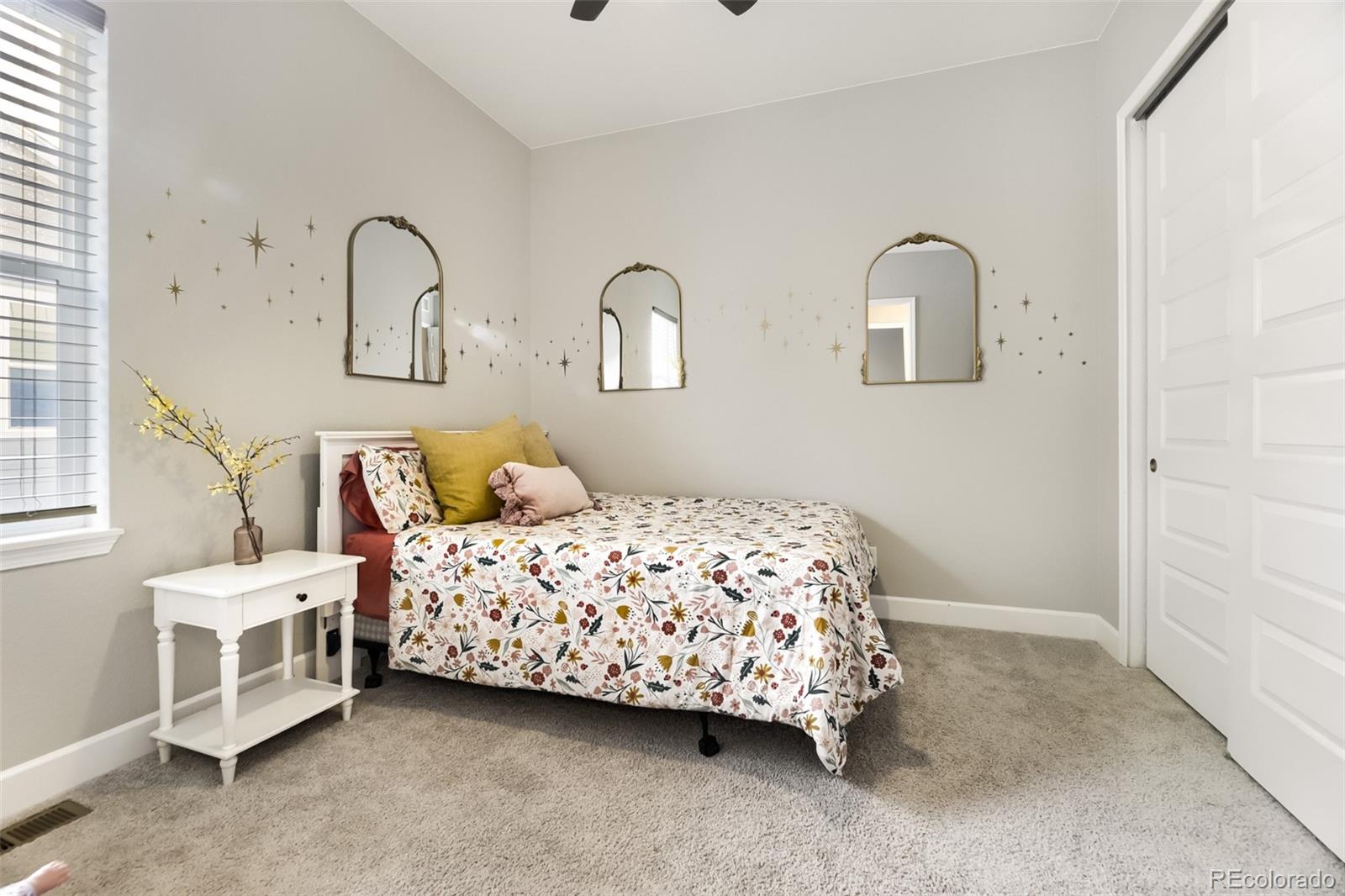 MLS Image #20 for 3258  carabiner street,castle rock, Colorado