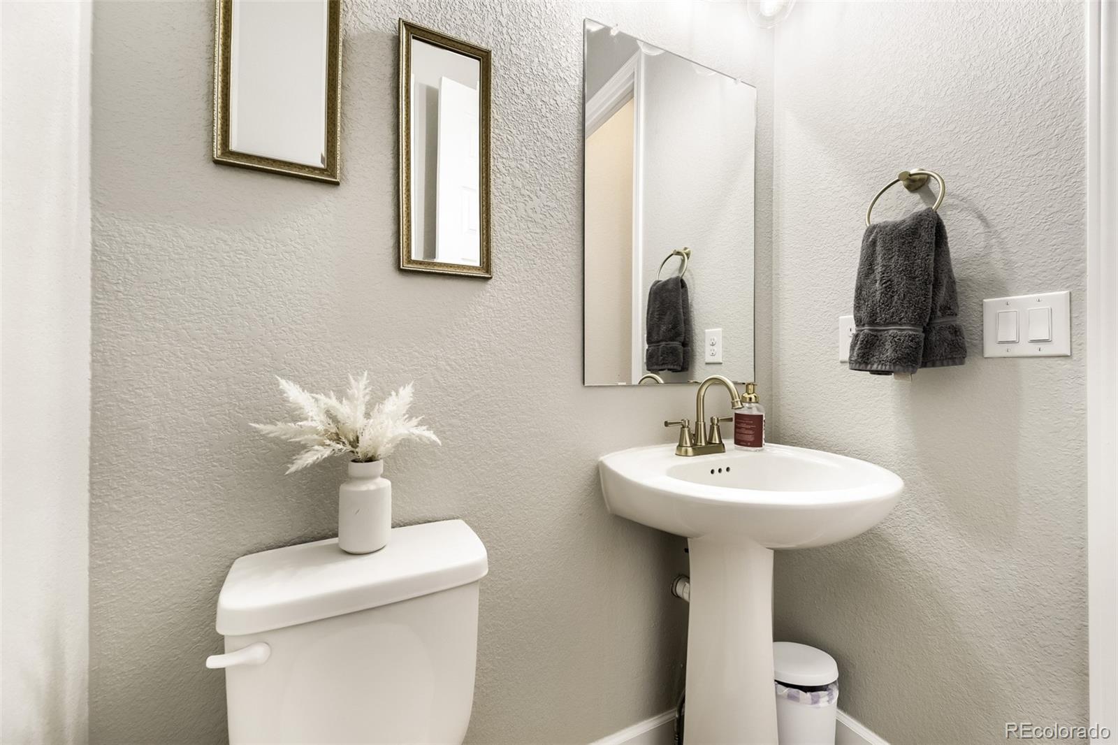 MLS Image #22 for 3258  carabiner street,castle rock, Colorado