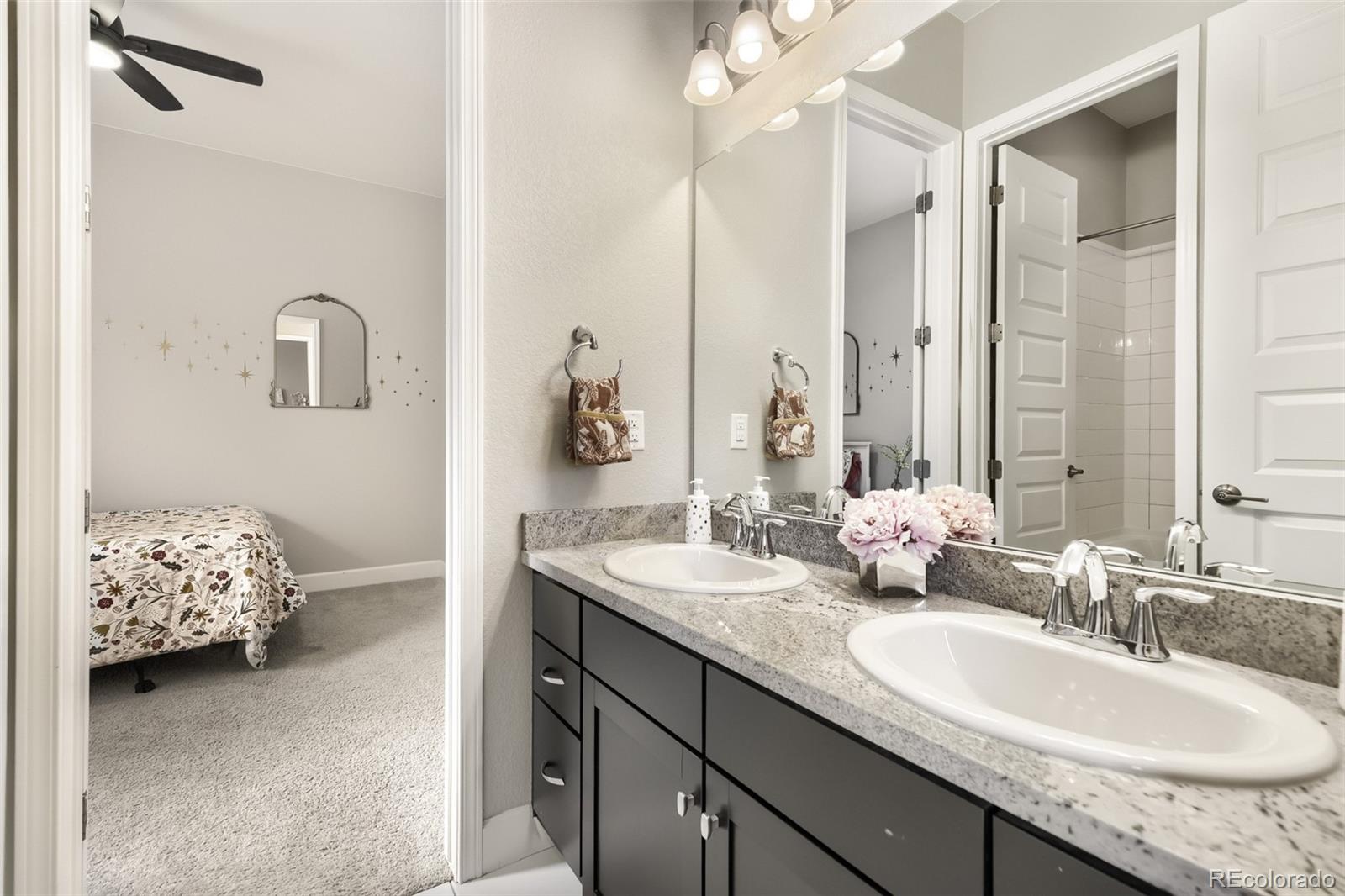 MLS Image #23 for 3258  carabiner street,castle rock, Colorado