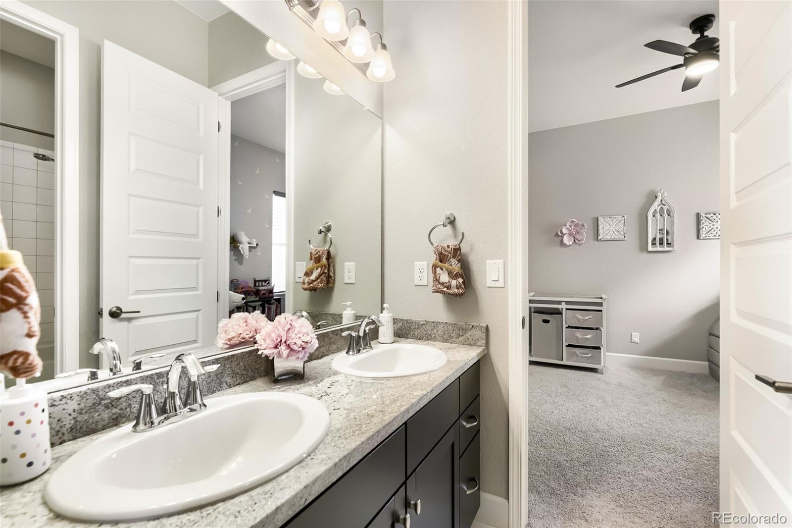 MLS Image #24 for 3258  carabiner street,castle rock, Colorado
