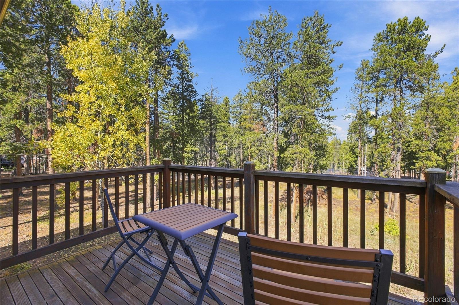 MLS Image #36 for 9358  black mountain drive,conifer, Colorado