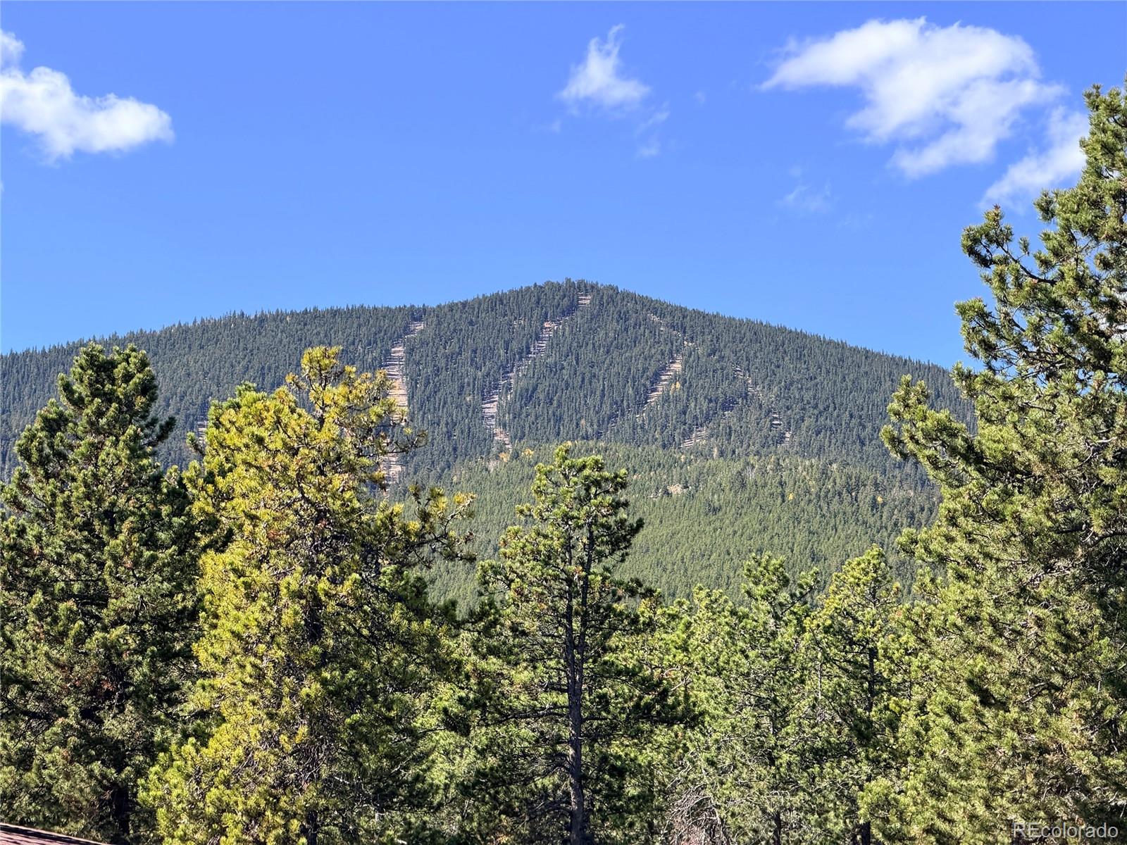 MLS Image #46 for 9358  black mountain drive,conifer, Colorado