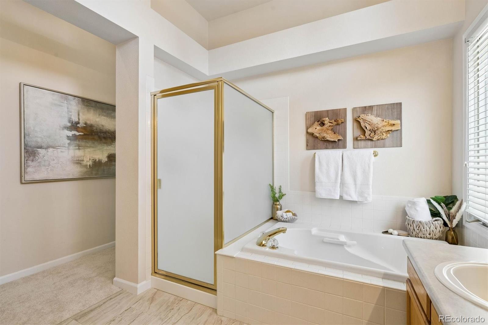 MLS Image #20 for 5323  shetland court,highlands ranch, Colorado