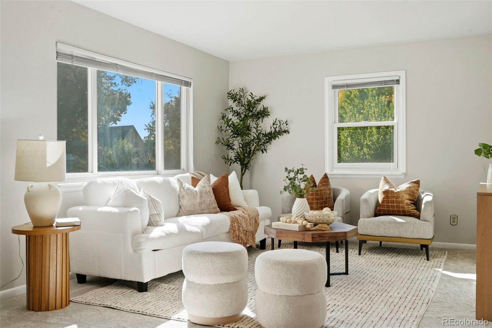 MLS Image #4 for 2401  ingalls street,edgewater, Colorado