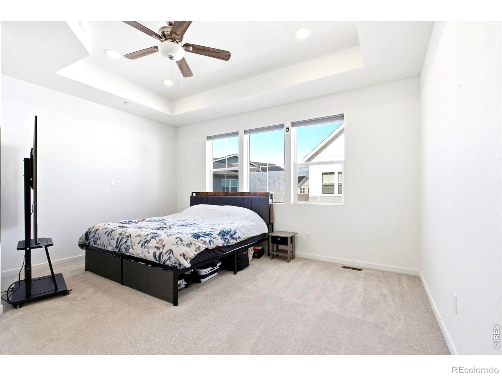 MLS Image #9 for 5480  second avenue,timnath, Colorado