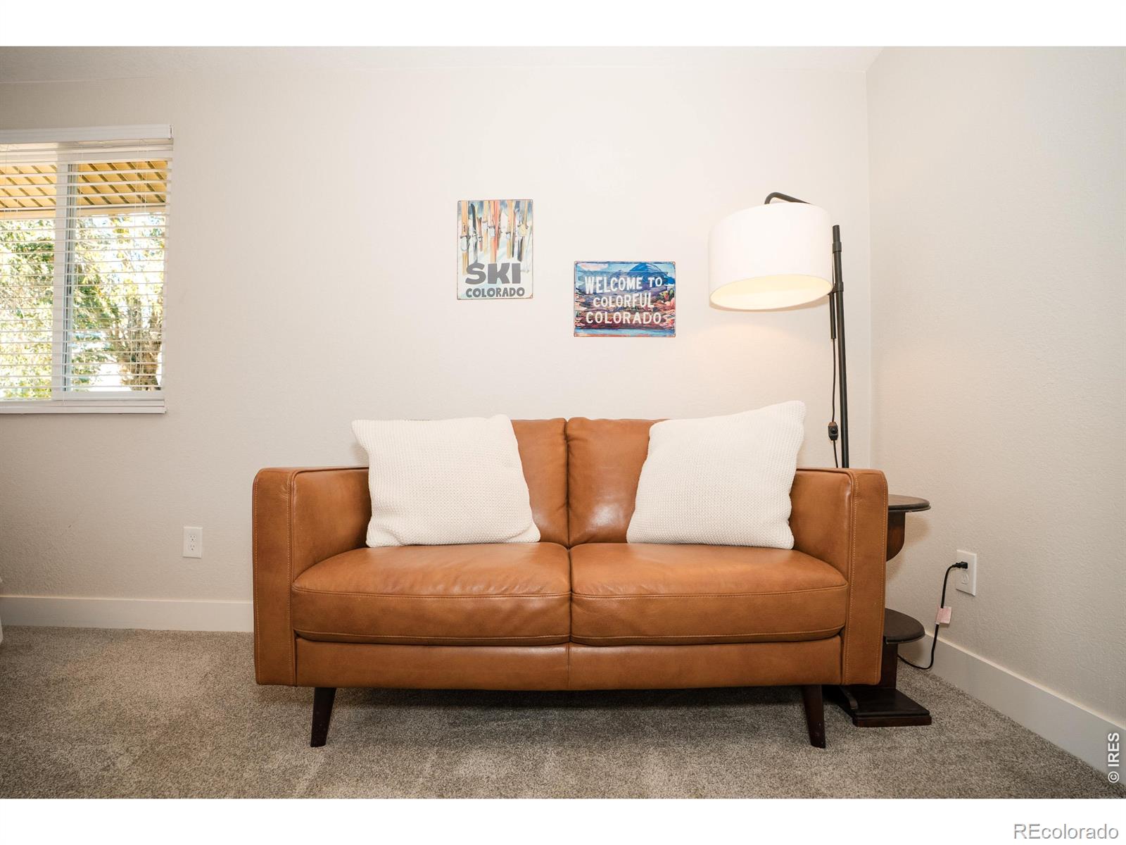 MLS Image #11 for 426  thistle place,longmont, Colorado