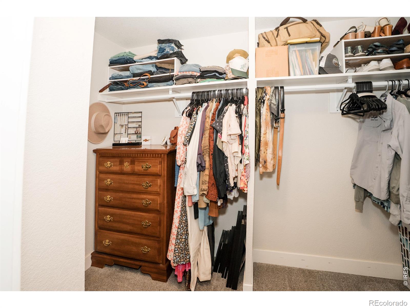 MLS Image #12 for 426  thistle place,longmont, Colorado