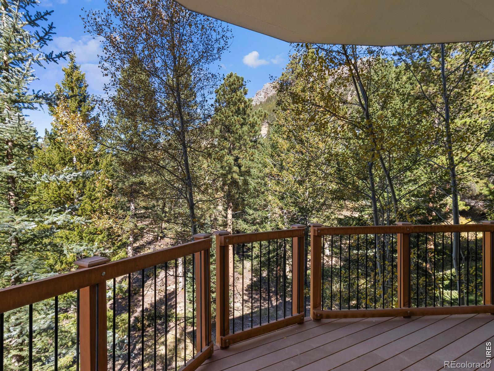 MLS Image #30 for 3434  eaglecliff cir dr,estes park, Colorado