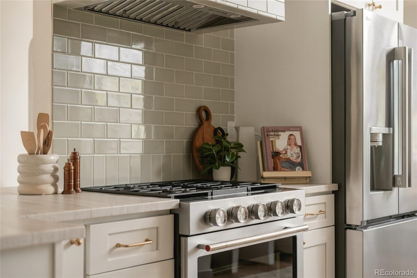 MLS Image #14 for 1610  roslyn street,denver, Colorado