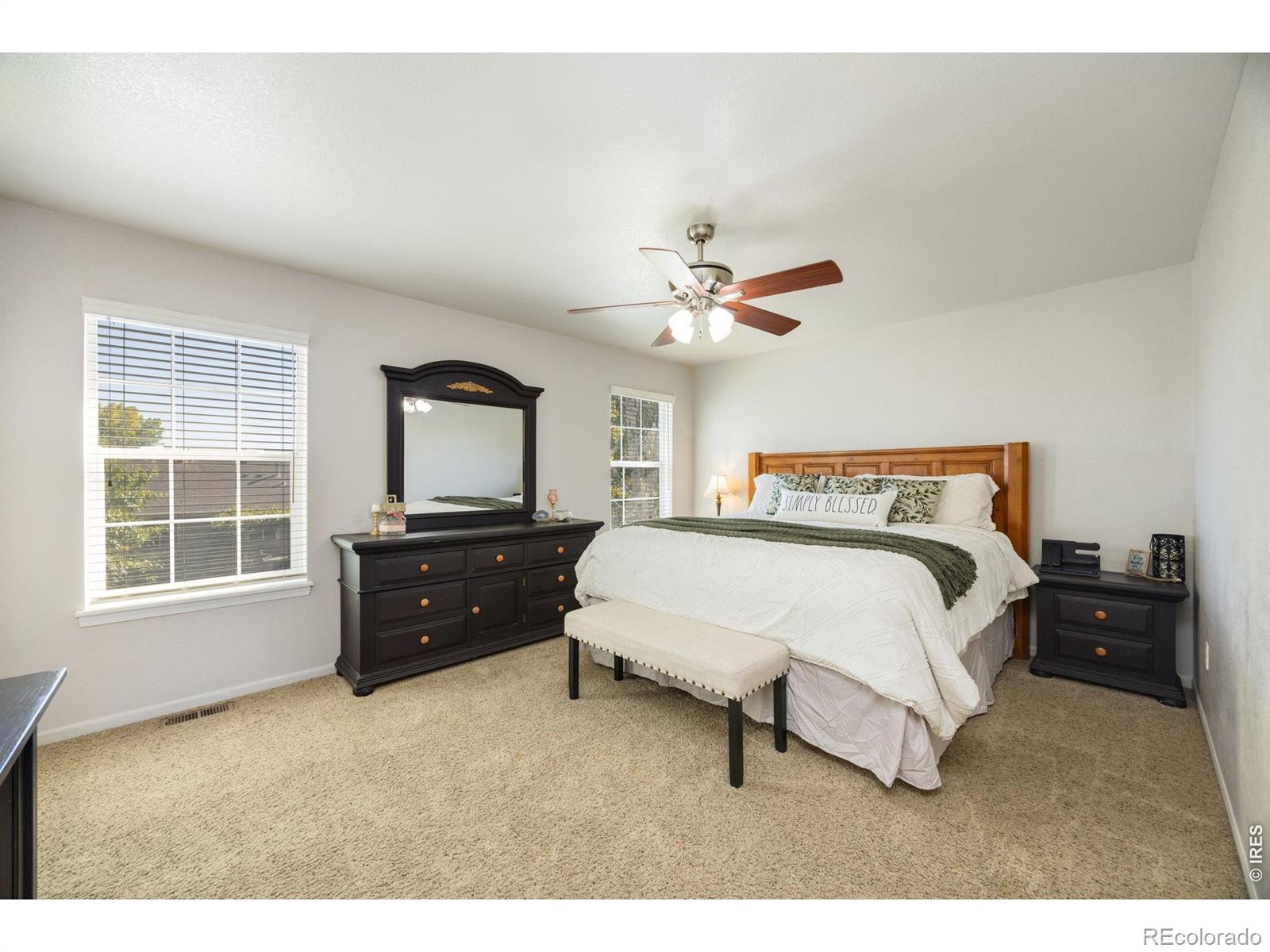 MLS Image #11 for 251  topaz court,windsor, Colorado
