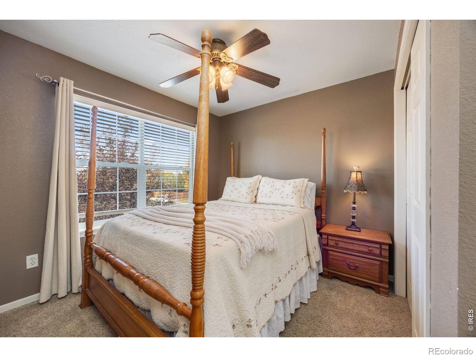 MLS Image #15 for 251  topaz court,windsor, Colorado