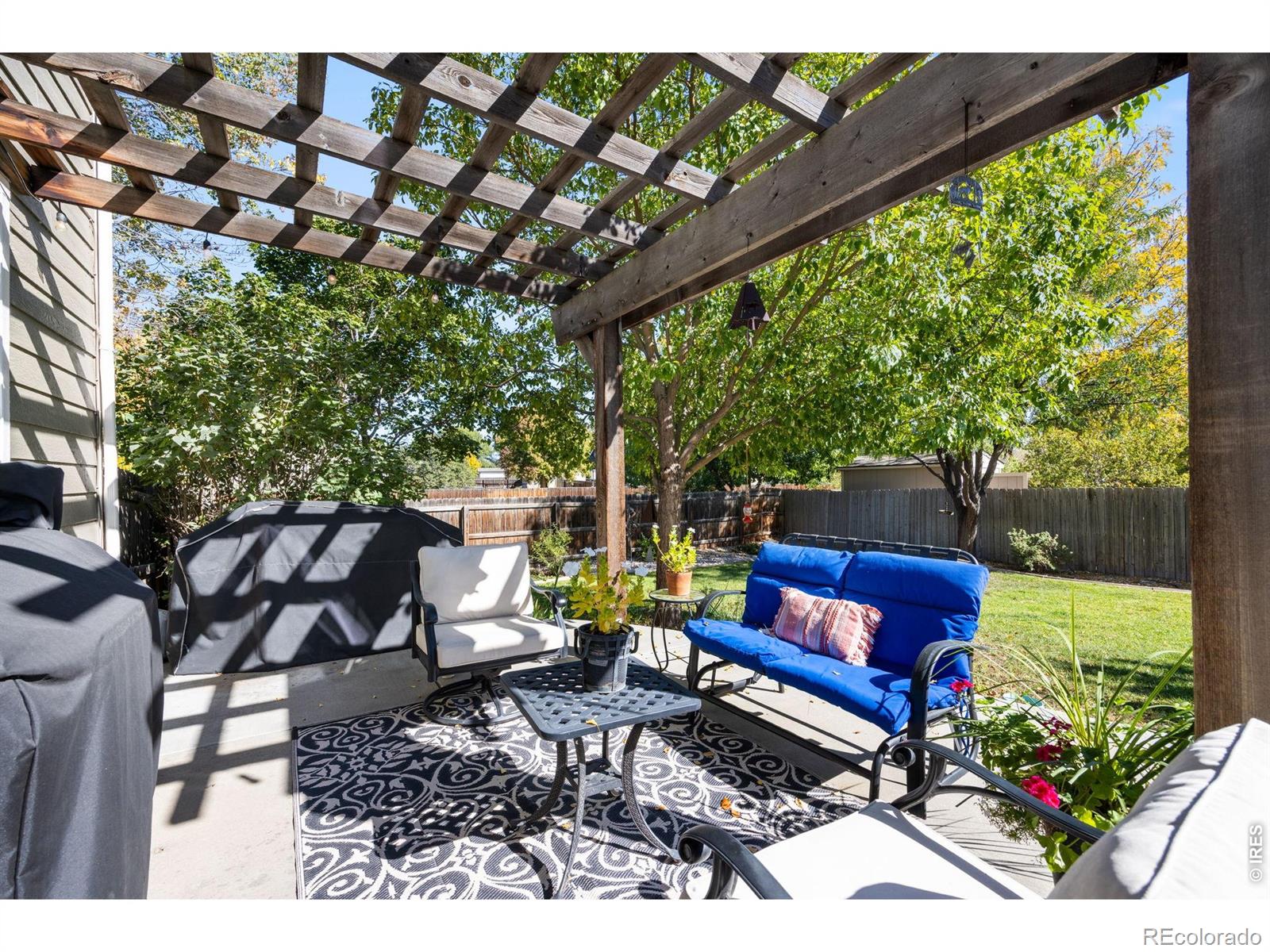 MLS Image #2 for 251  topaz court,windsor, Colorado