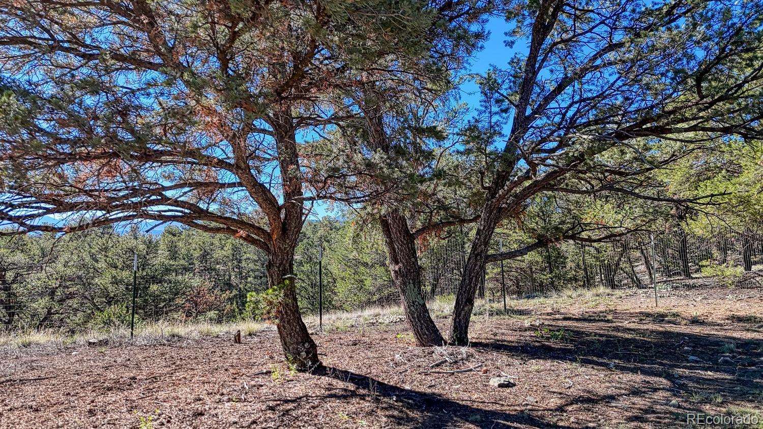 MLS Image #34 for 368  pinion hills drive,howard, Colorado