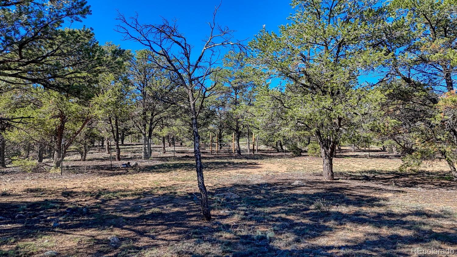 MLS Image #35 for 368  pinion hills drive,howard, Colorado