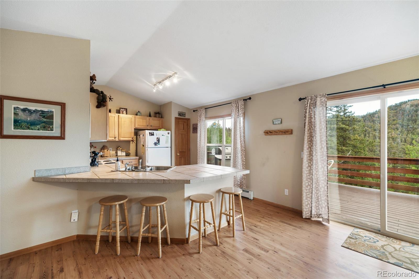MLS Image #23 for 274  folsom dr ,como, Colorado