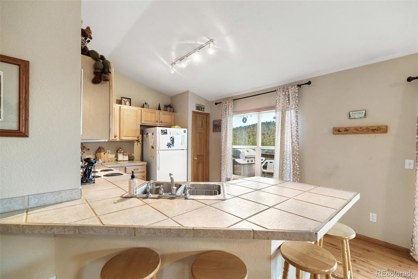 MLS Image #26 for 274  folsom dr ,como, Colorado