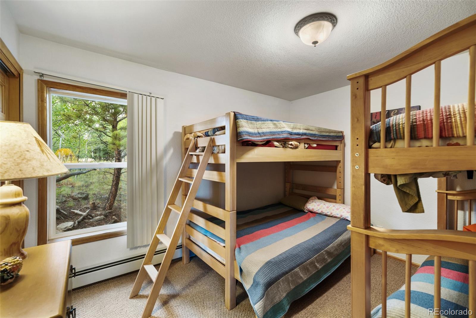 MLS Image #34 for 274  folsom dr ,como, Colorado