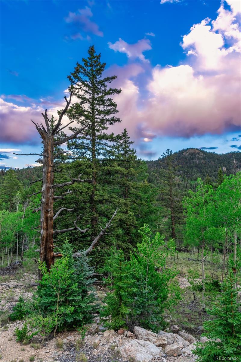 MLS Image #48 for 274  folsom dr ,como, Colorado