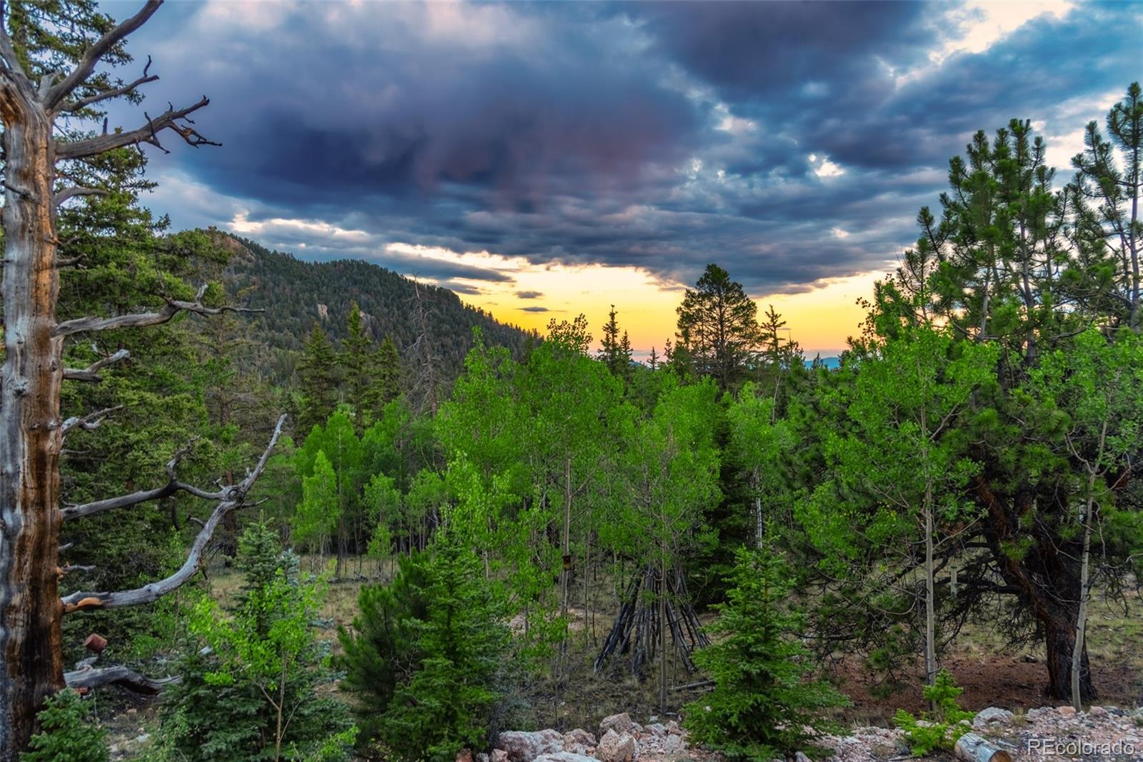 MLS Image #49 for 274  folsom dr ,como, Colorado