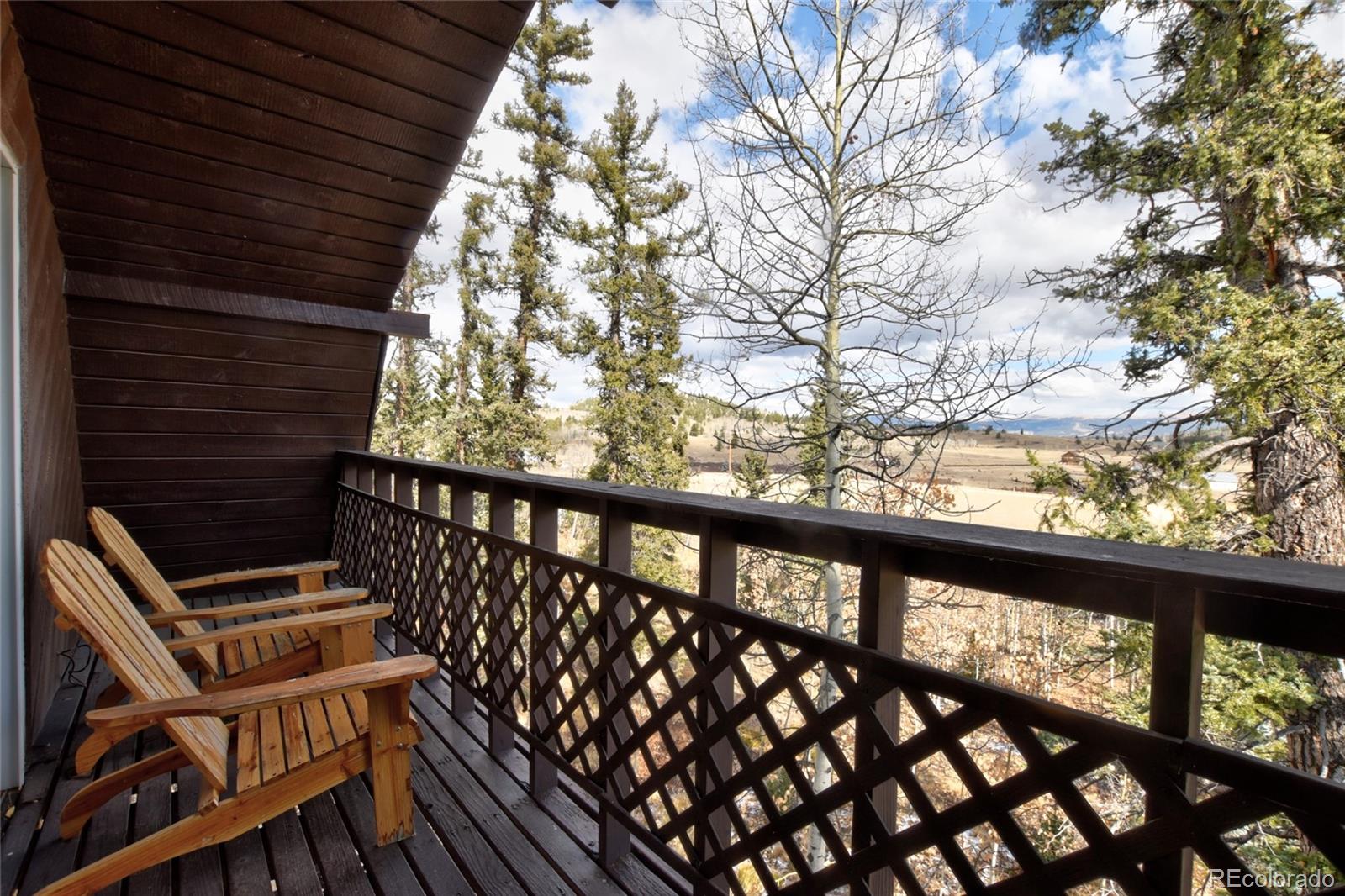 MLS Image #29 for 45  swiggler court,jefferson, Colorado