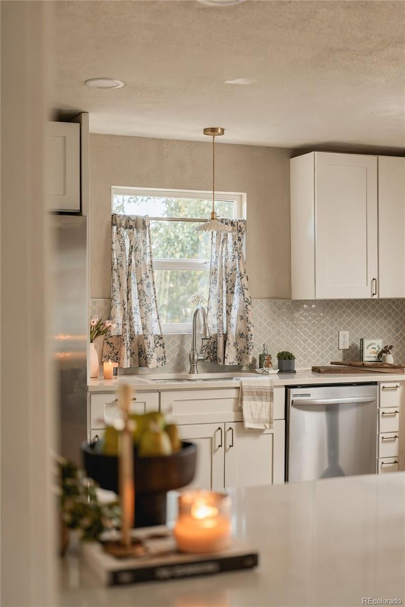 MLS Image #10 for 225  raleigh street,denver, Colorado