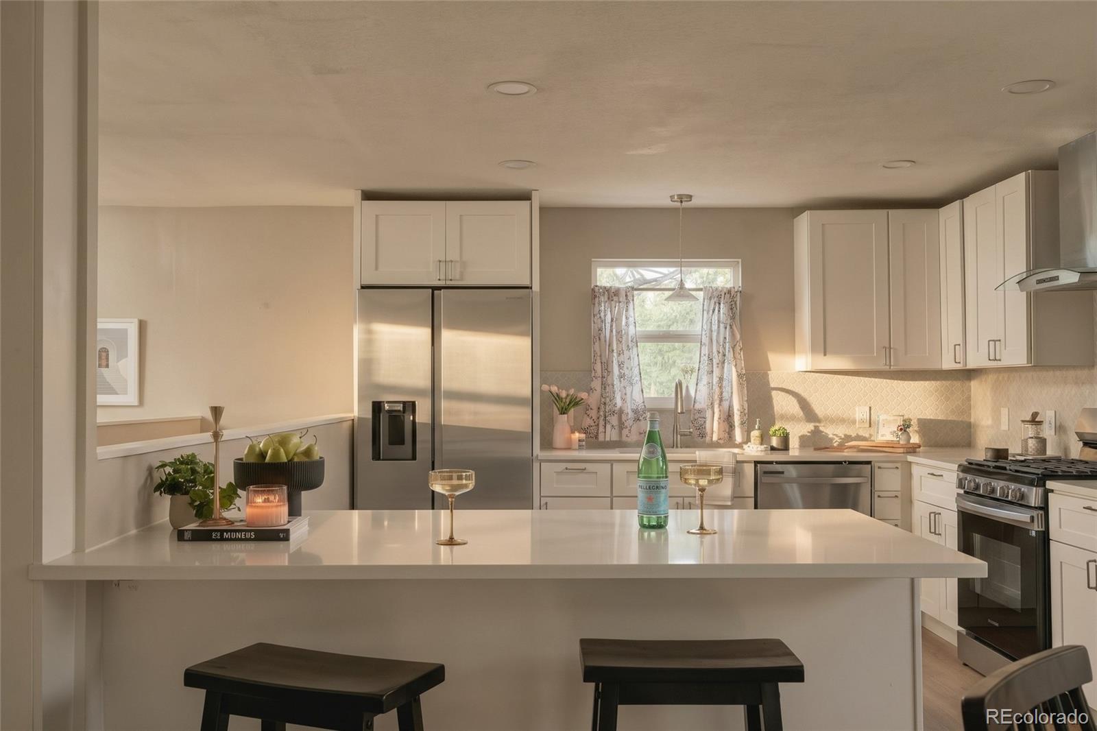 MLS Image #14 for 225  raleigh street,denver, Colorado
