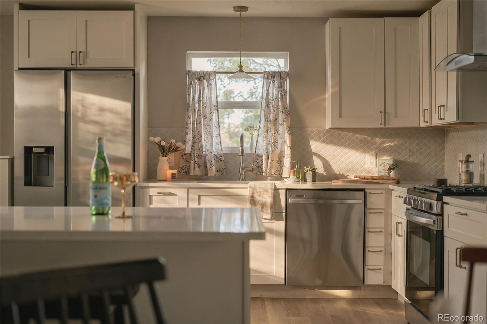 MLS Image #38 for 225  raleigh street,denver, Colorado
