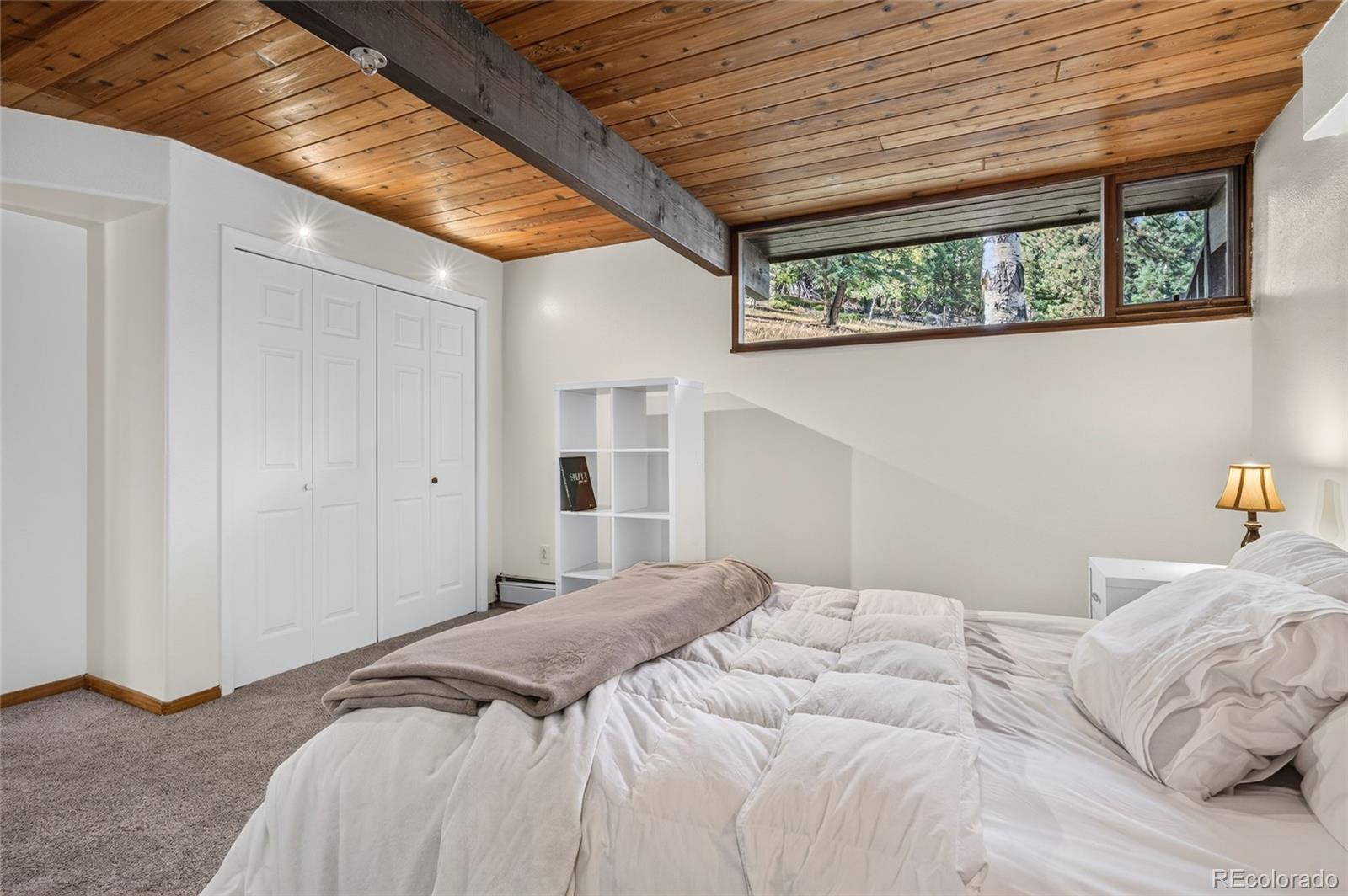 MLS Image #36 for 12155  cochise circle,conifer, Colorado