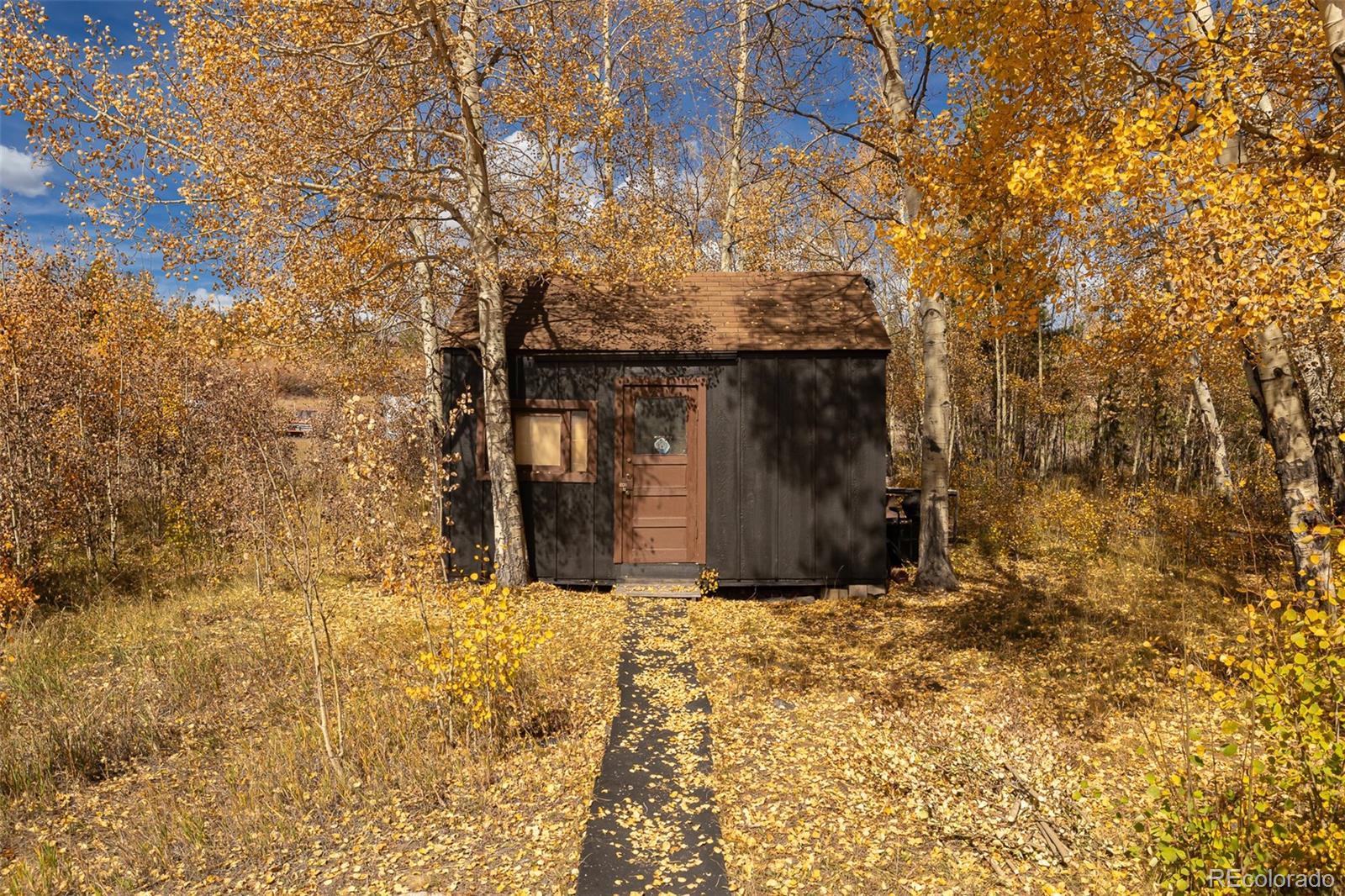 MLS Image #24 for 479  grand county road 465 ,grand lake, Colorado