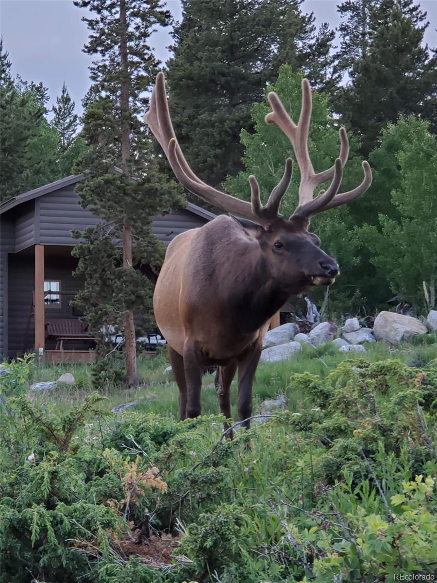 MLS Image #31 for 479  grand county road 465 ,grand lake, Colorado