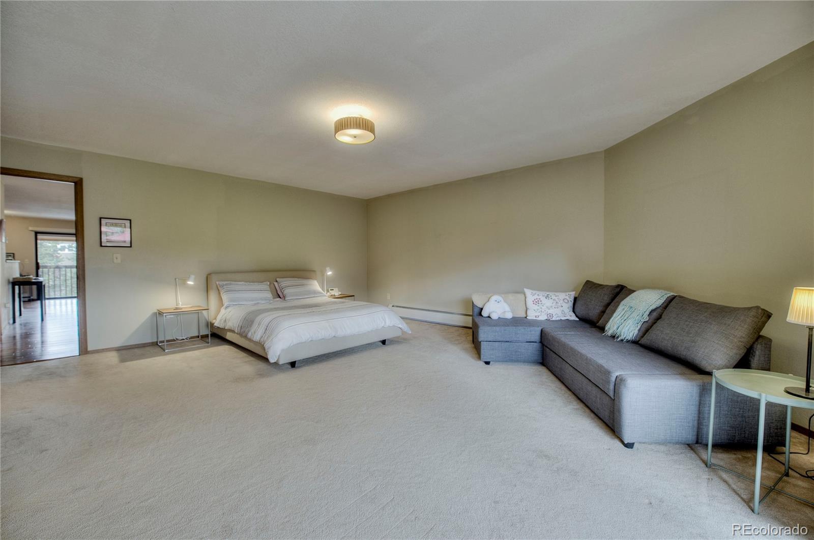 MLS Image #10 for 742  lagoon drive,frisco, Colorado