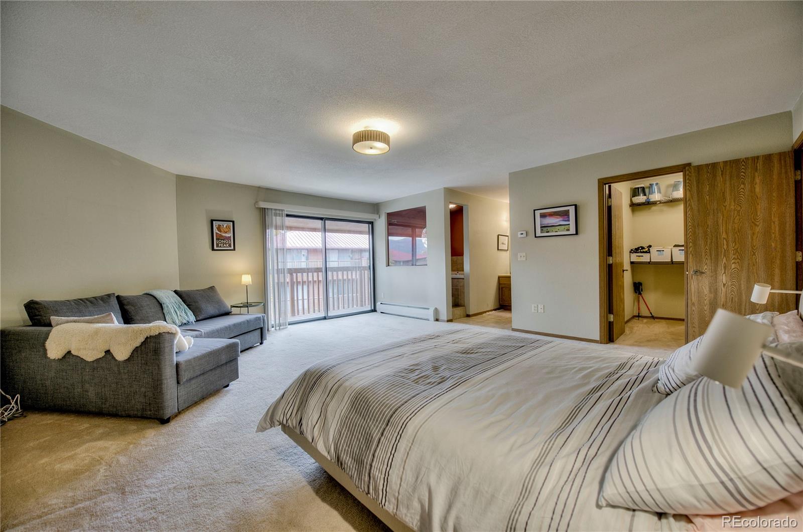 MLS Image #11 for 742  lagoon drive,frisco, Colorado
