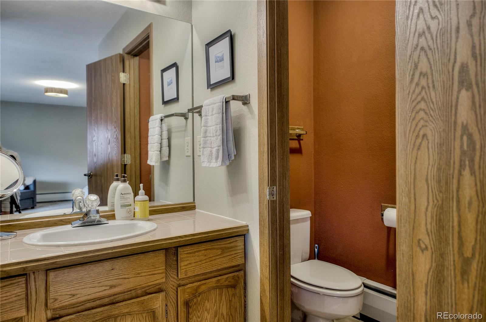 MLS Image #12 for 742  lagoon drive,frisco, Colorado