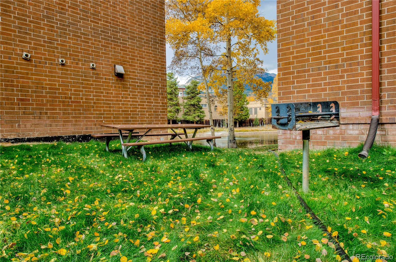 MLS Image #34 for 742  lagoon drive,frisco, Colorado