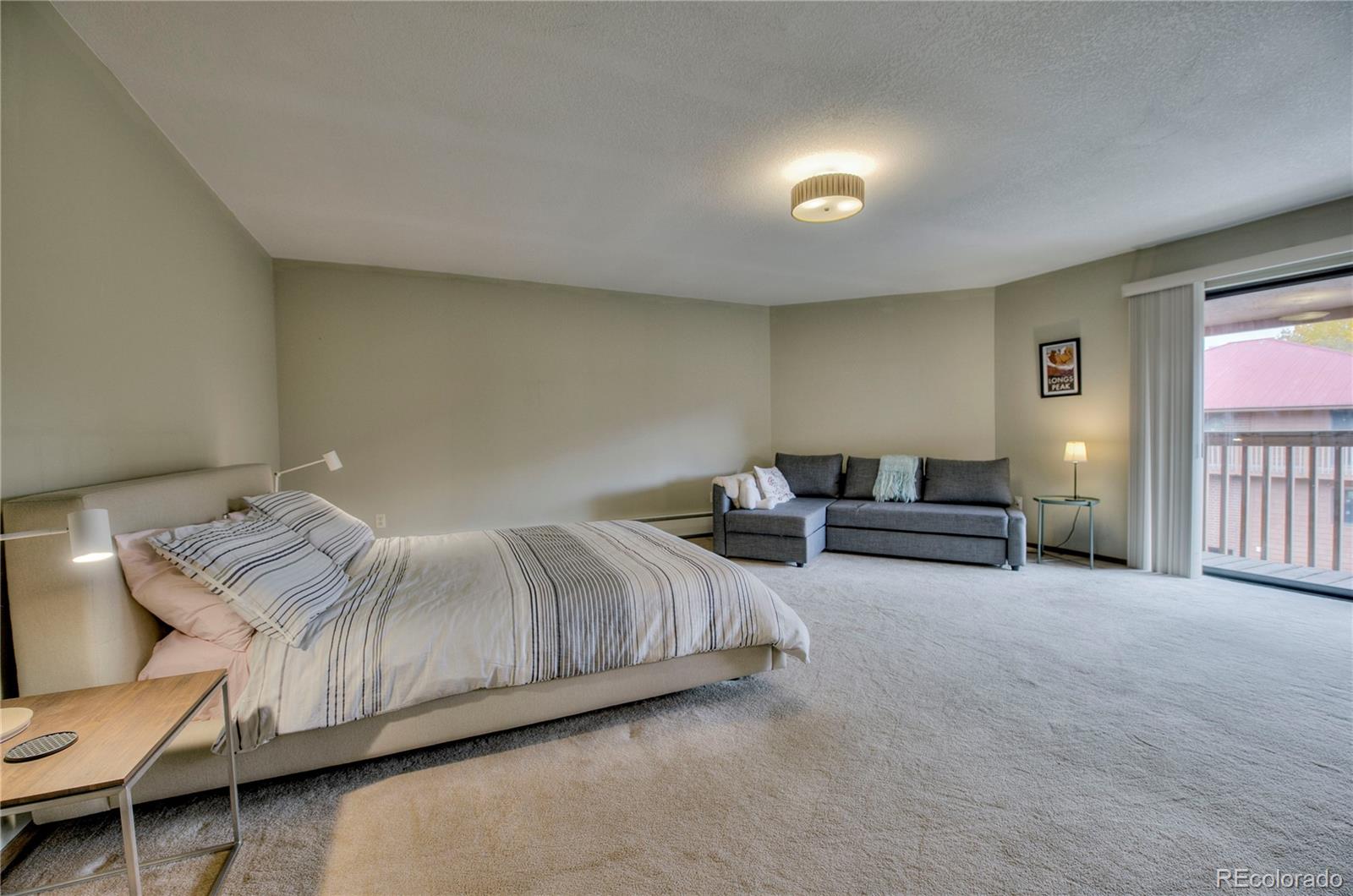 MLS Image #9 for 742  lagoon drive,frisco, Colorado