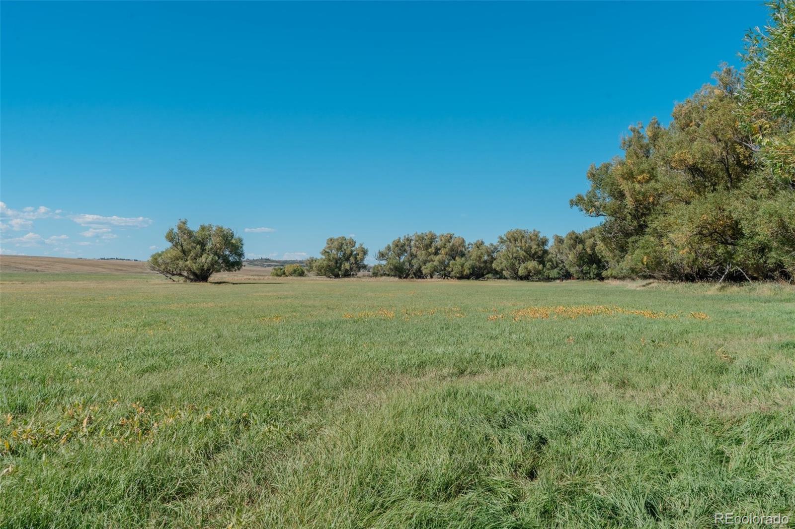 MLS Image #10 for 7715 s state highway 83 ,franktown, Colorado
