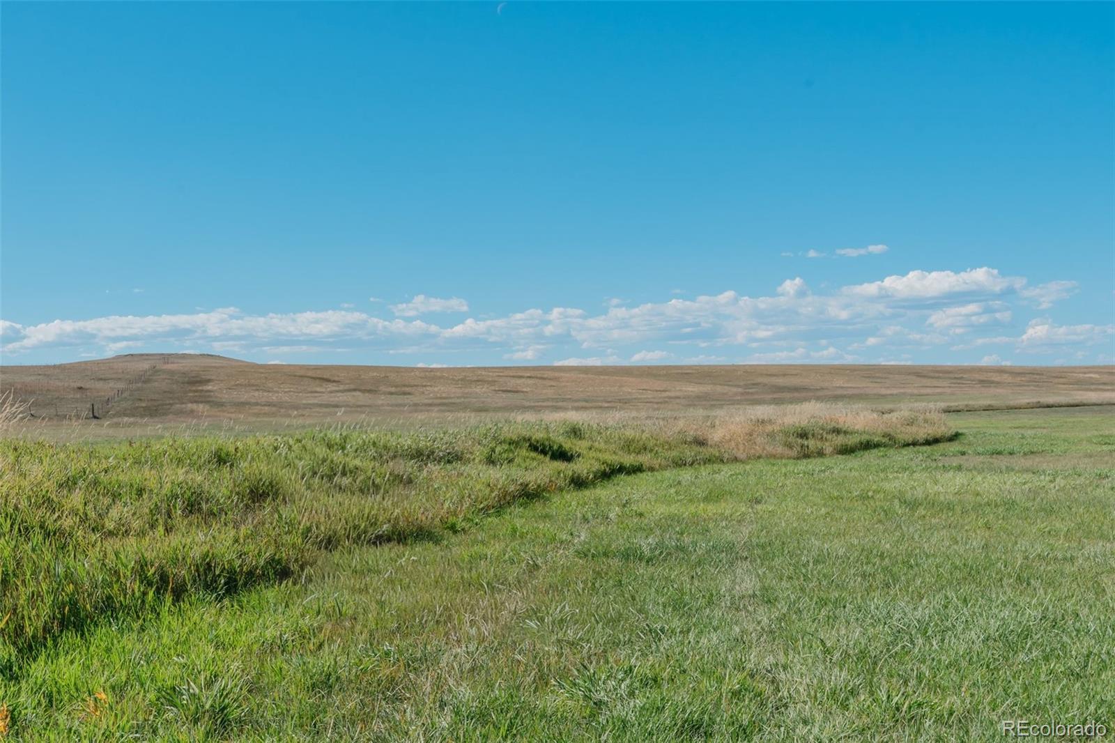 MLS Image #12 for 7715 s state highway 83 ,franktown, Colorado