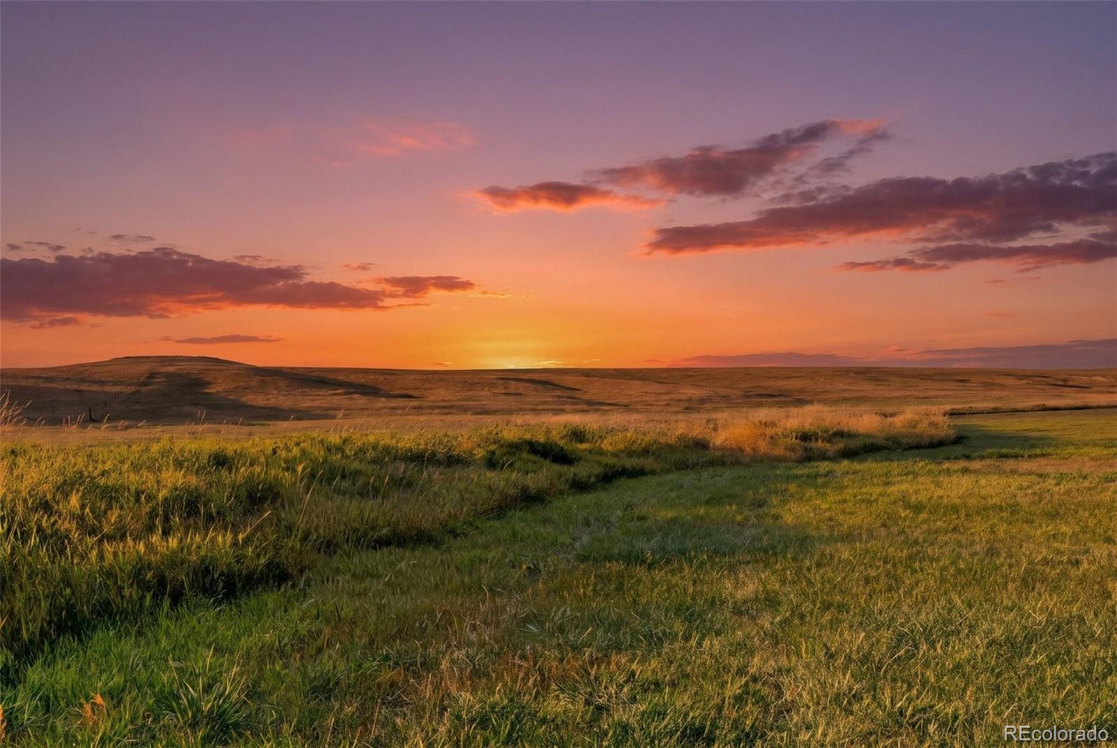 MLS Image #41 for 7715 s state highway 83 ,franktown, Colorado