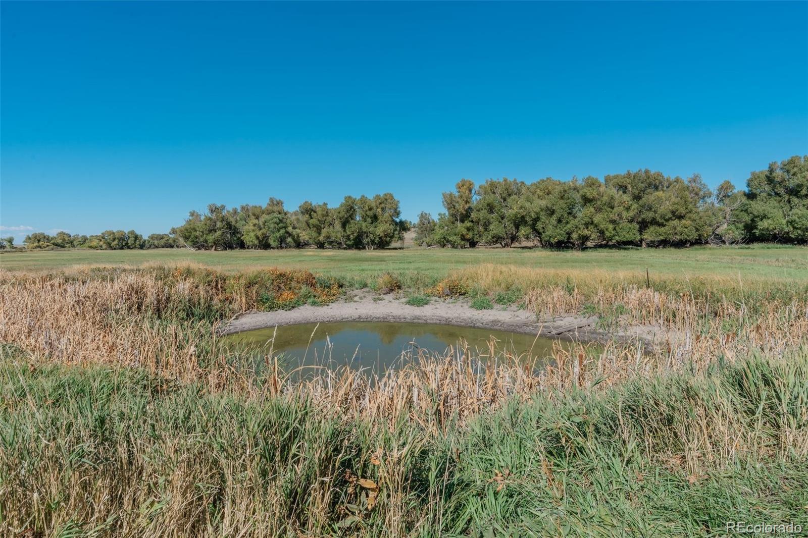 MLS Image #7 for 7715 s state highway 83 ,franktown, Colorado