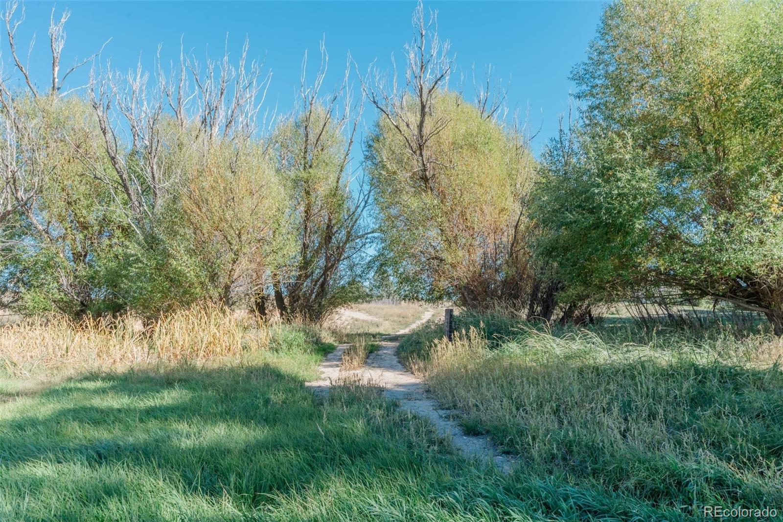 MLS Image #8 for 7715 s state highway 83 ,franktown, Colorado