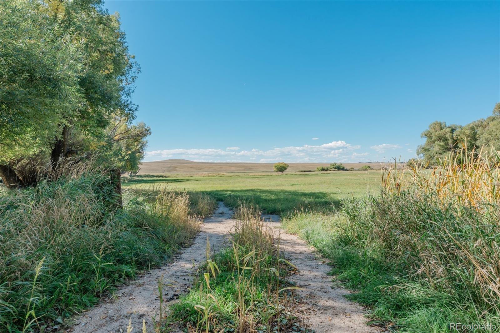 MLS Image #9 for 7715 s state highway 83 ,franktown, Colorado