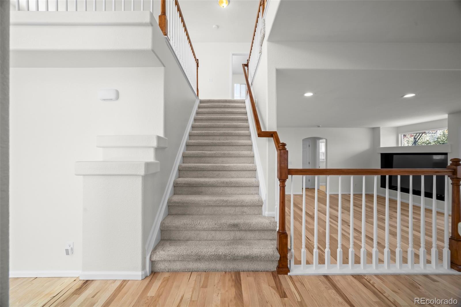 MLS Image #5 for 5065  fenwood drive,highlands ranch, Colorado