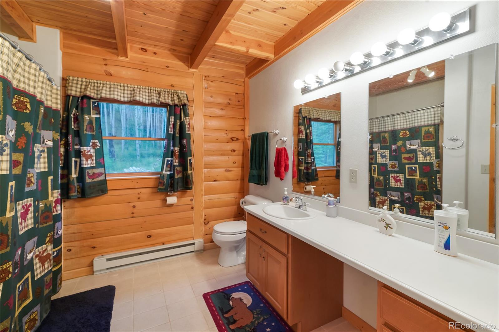 MLS Image #19 for 252  river run drive,antonito, Colorado