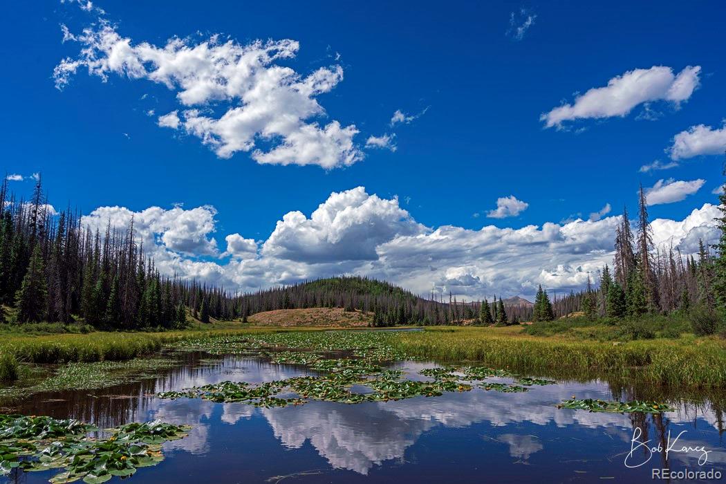 MLS Image #35 for 252  river run drive,antonito, Colorado