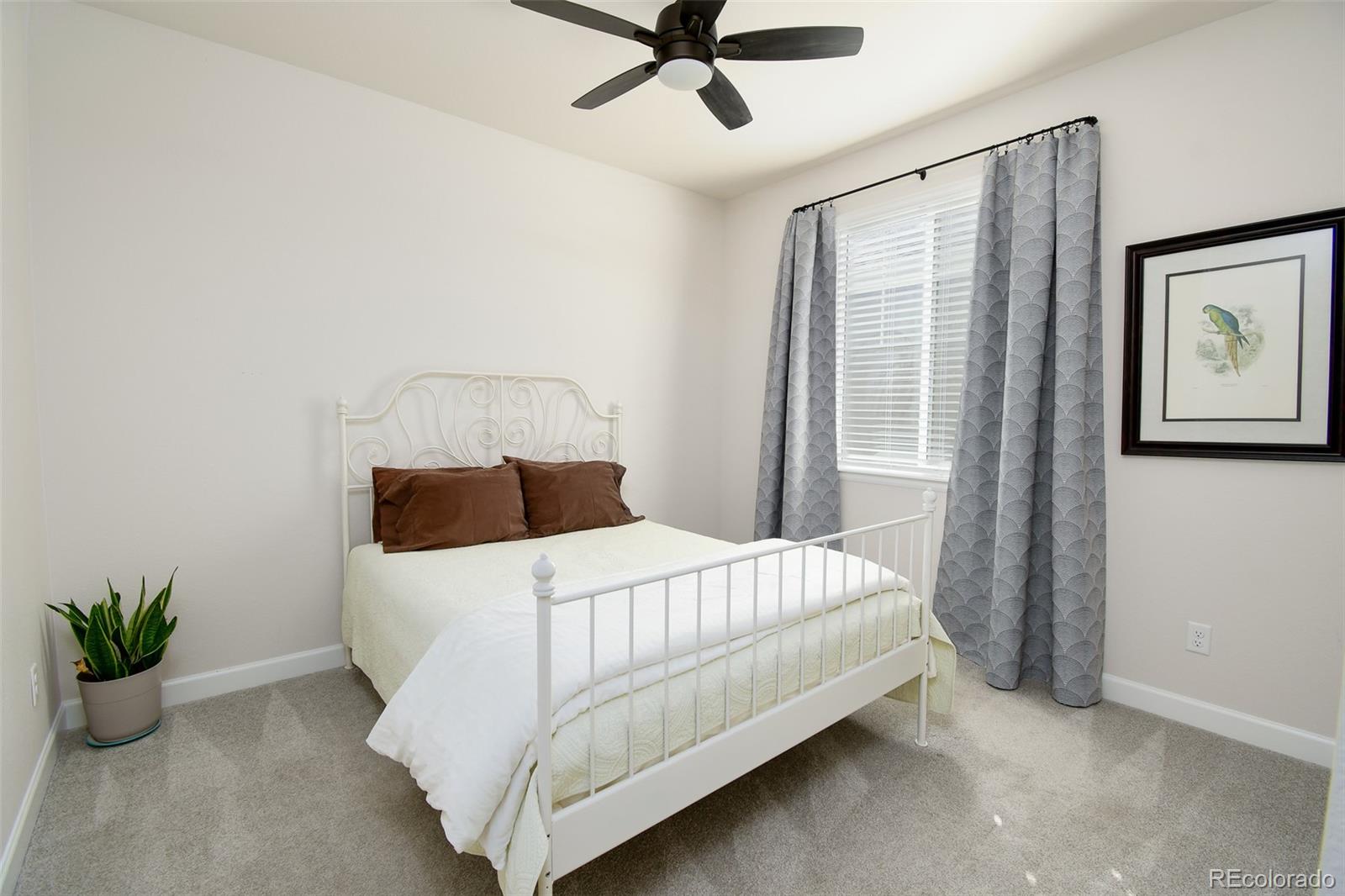 MLS Image #16 for 5094  ditmars lane,castle rock, Colorado