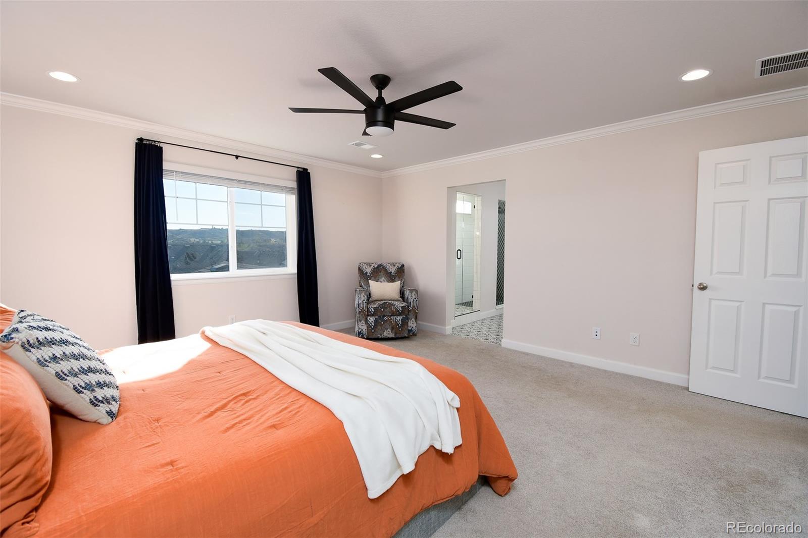 MLS Image #23 for 5094  ditmars lane,castle rock, Colorado